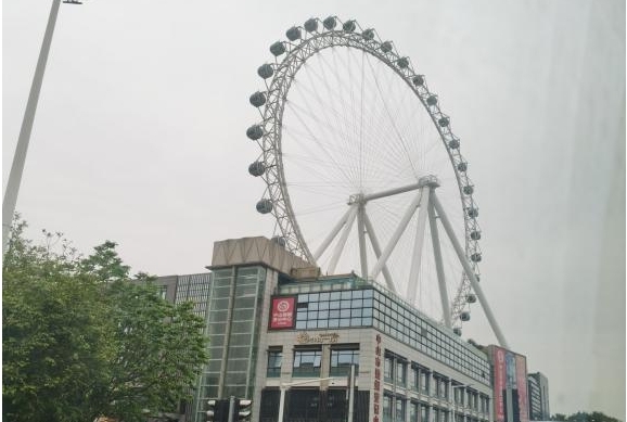 图片13(8)